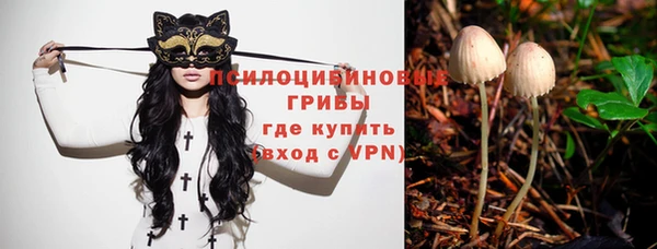 эйфоретик Медногорск